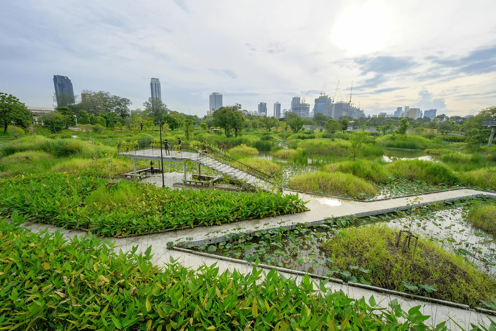Photoshoot in Bangkok: benjakitti park.