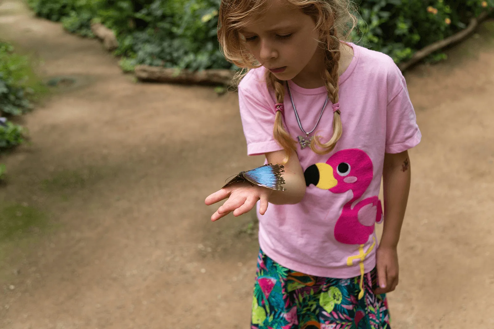 Photoshoot in Bangkok: butterfly garden and insectarium.