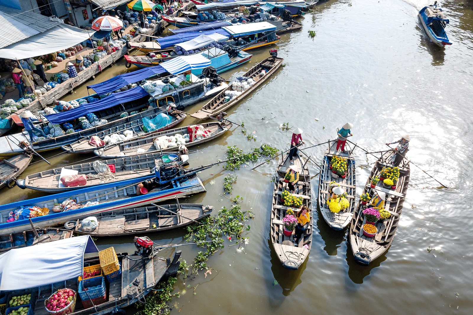 Photoshoot in Bangkok: amphawa floating market (weekends).