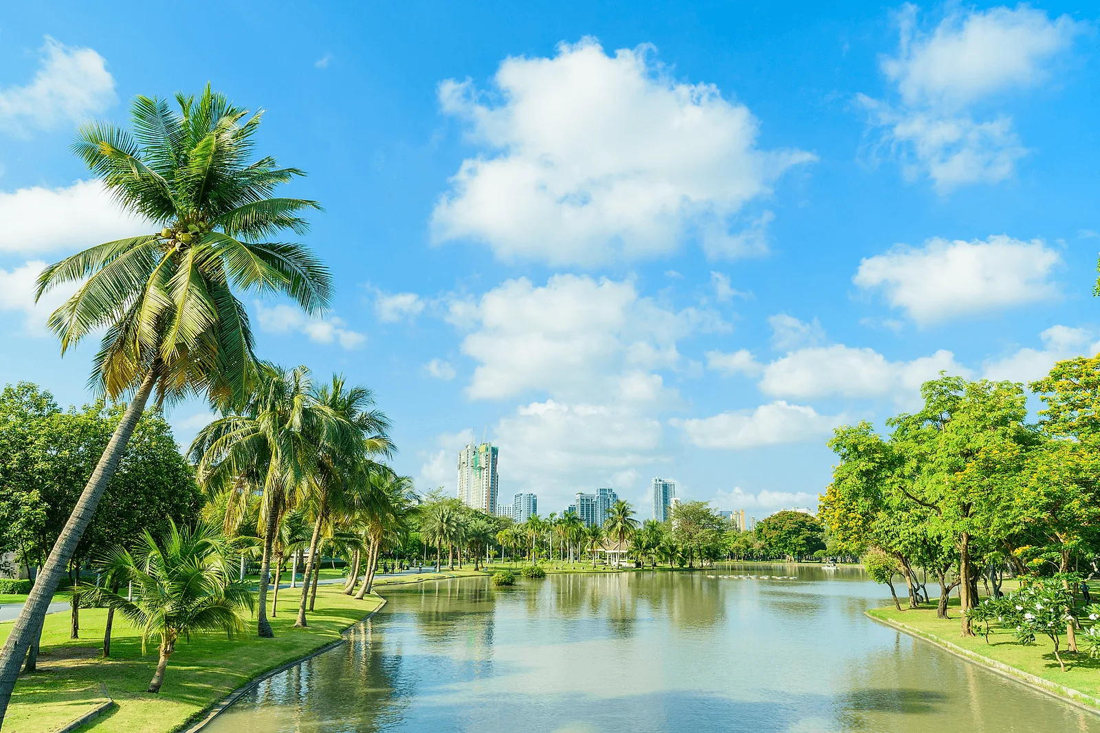 Photoshoot in Bangkok: chatuchak park.