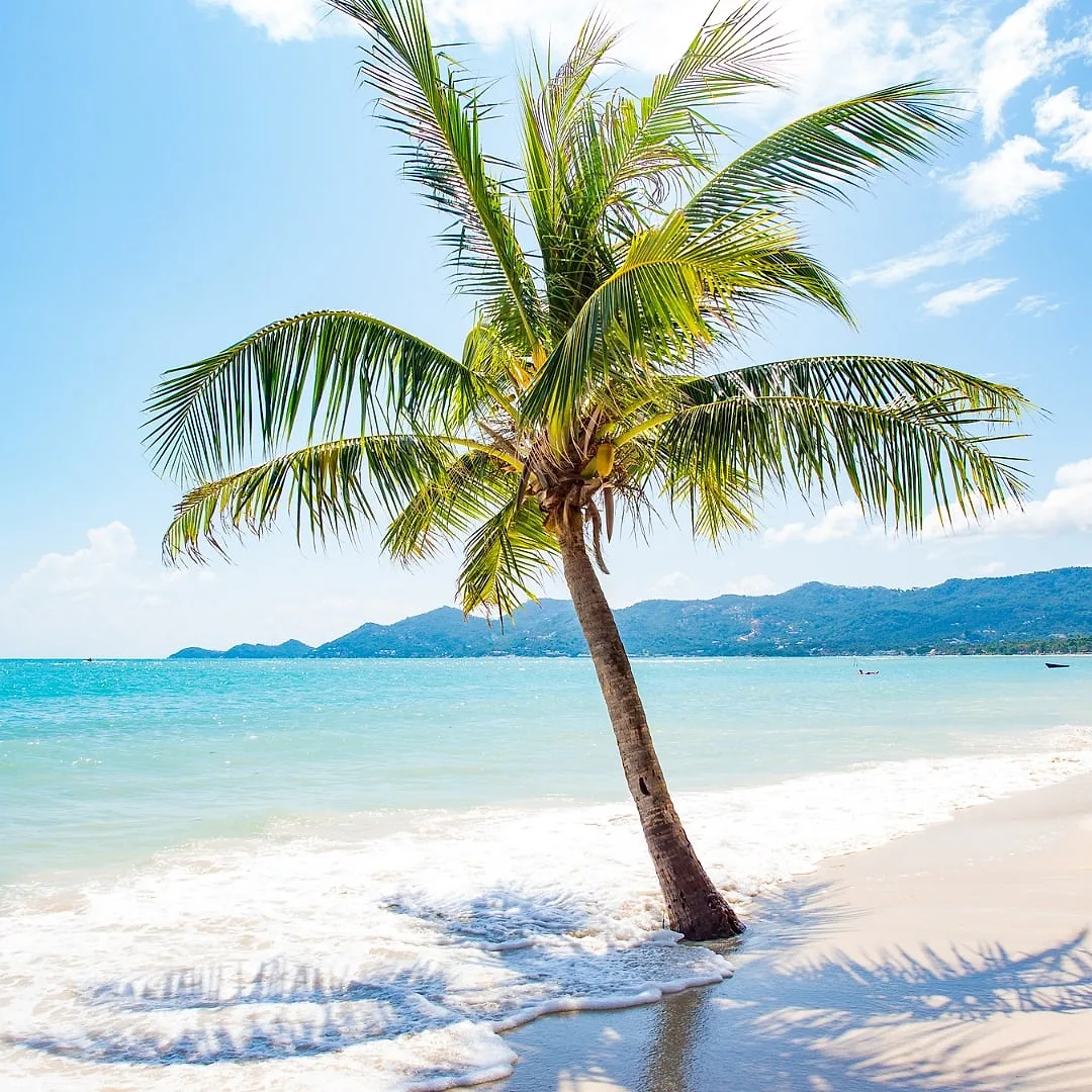 Photoshoot in Bangkok: day 12: krabi to koh samui.