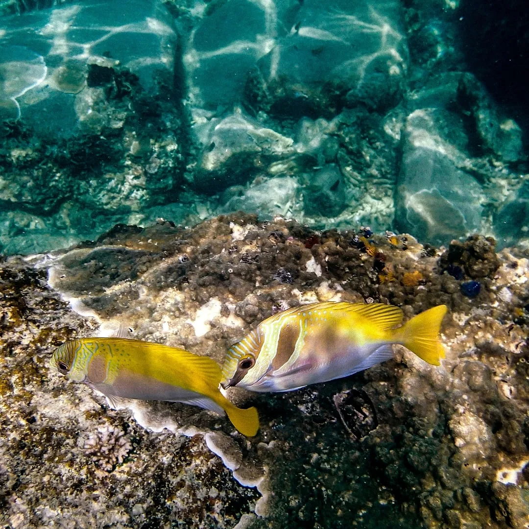 Photoshoot in Bangkok: day 18: koh tao adventure.