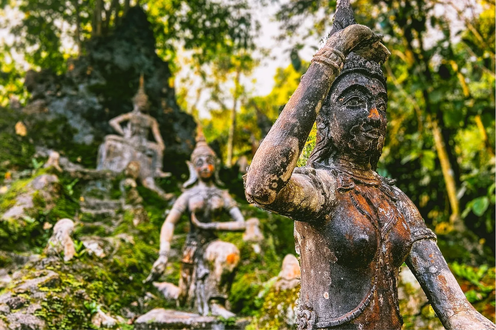 Activity #5: Secret Buddha Garden.
