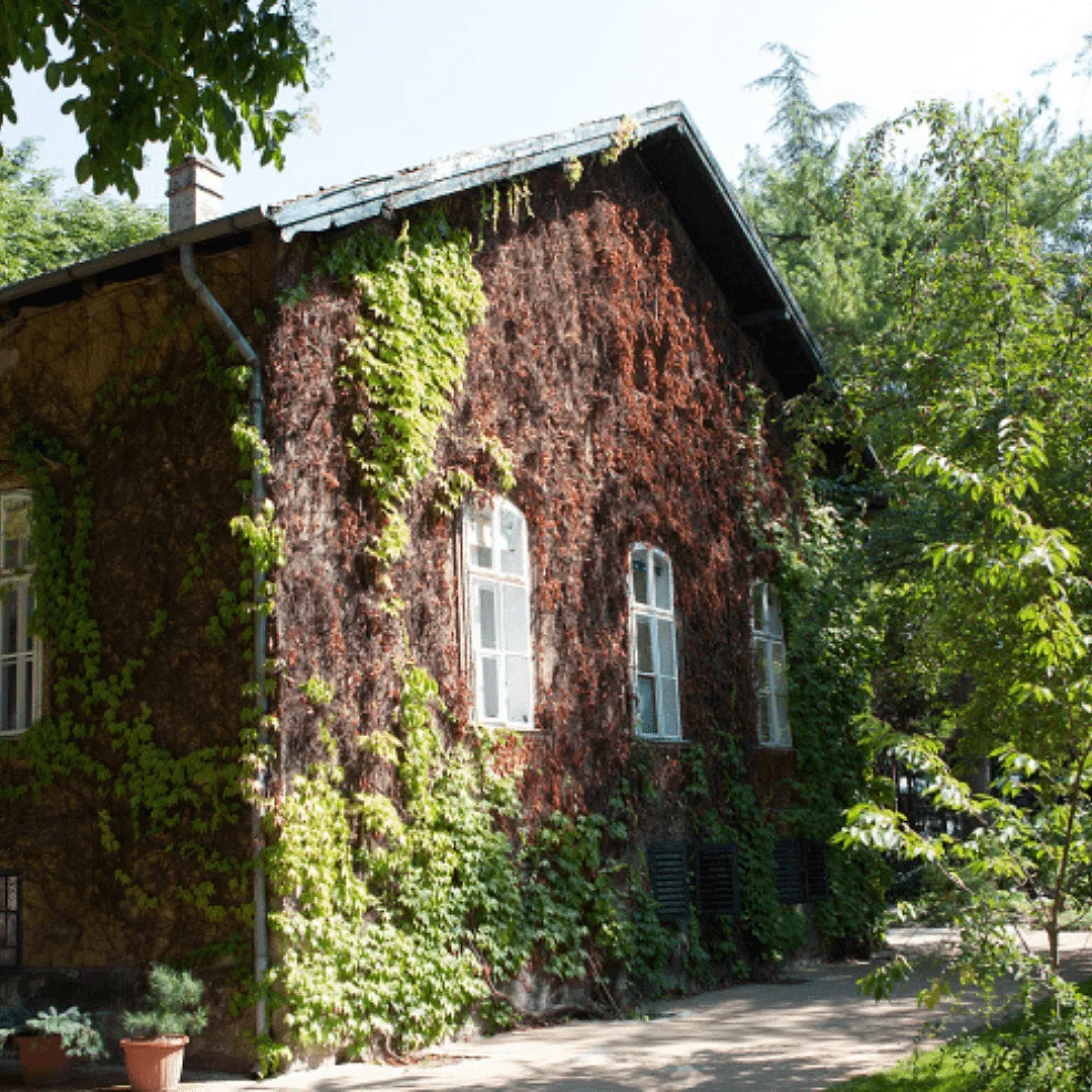 Photoshoot in Budapest: explore the botanical garden.