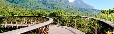 Kirstenbosch Gardens — popular photoshoot spot in South Africa