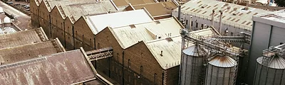 Guinness Hop Store — popular photoshoot spot in Dublin