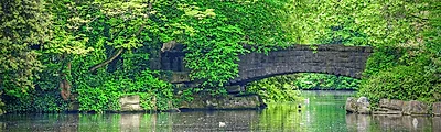 St. Stephens Green — popular photoshoot spot in Dublin