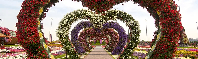 Miracle Garden