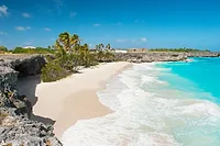 Photographers in Barbados