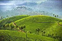 Photographers in Darjeeling