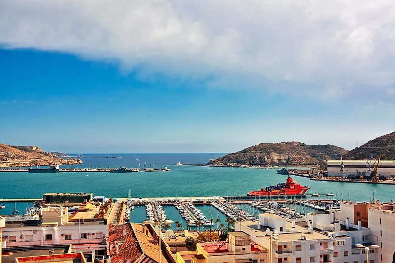 Muelle de Manga