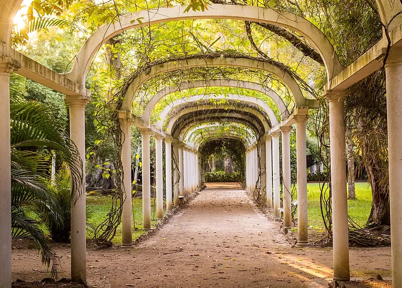 Jardim Botânico