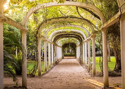 Jardim Botânico — popular photoshoot spot in Rio de Janeiro