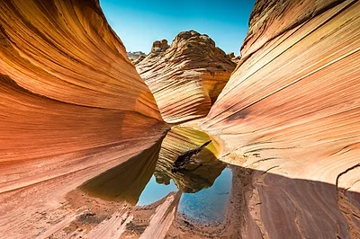 Arizona