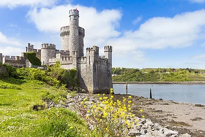 Cork