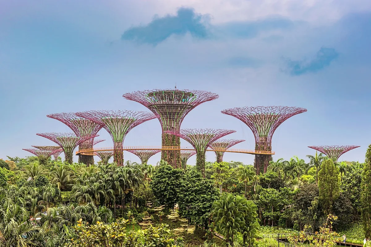 Photoshoot at Gardens by the Bay