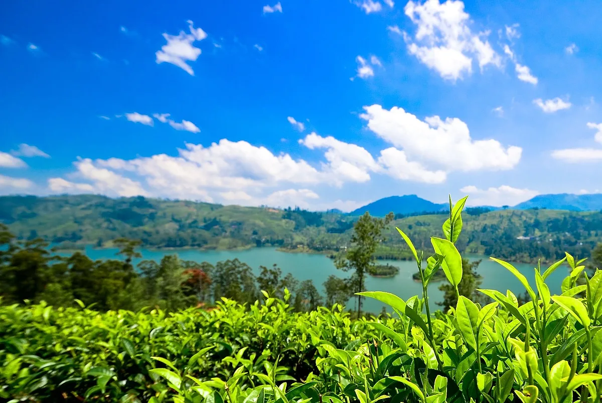 Photoshoot locations in Kandy