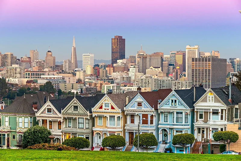 The Painted Ladies
