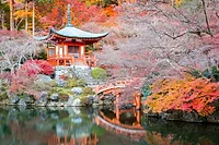 Photographers in Kyoto