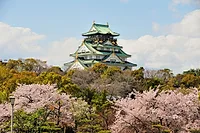 Photographers in Osaka