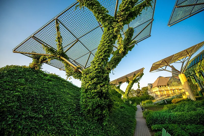 BUW Gardens