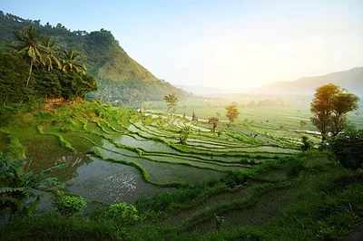 Ubud