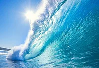 Photographers in Maui