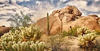 Photographers in Scottsdale