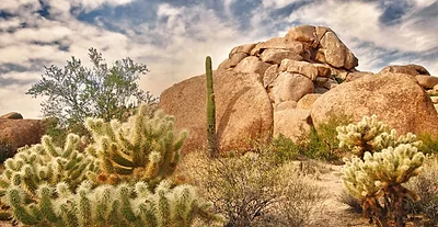 Scottsdale