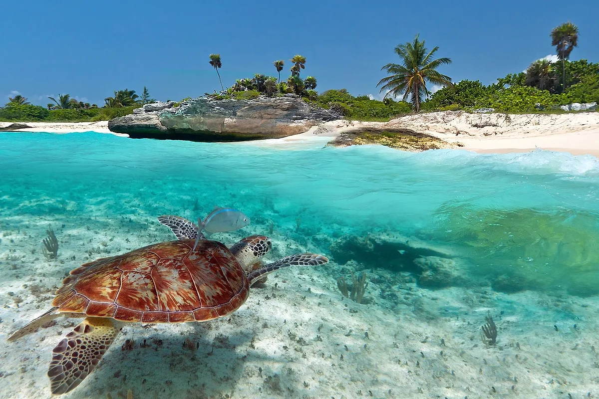 Photoshoot locations in Playa del Carmen