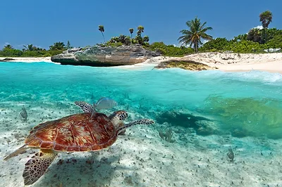 Playa del Carmen