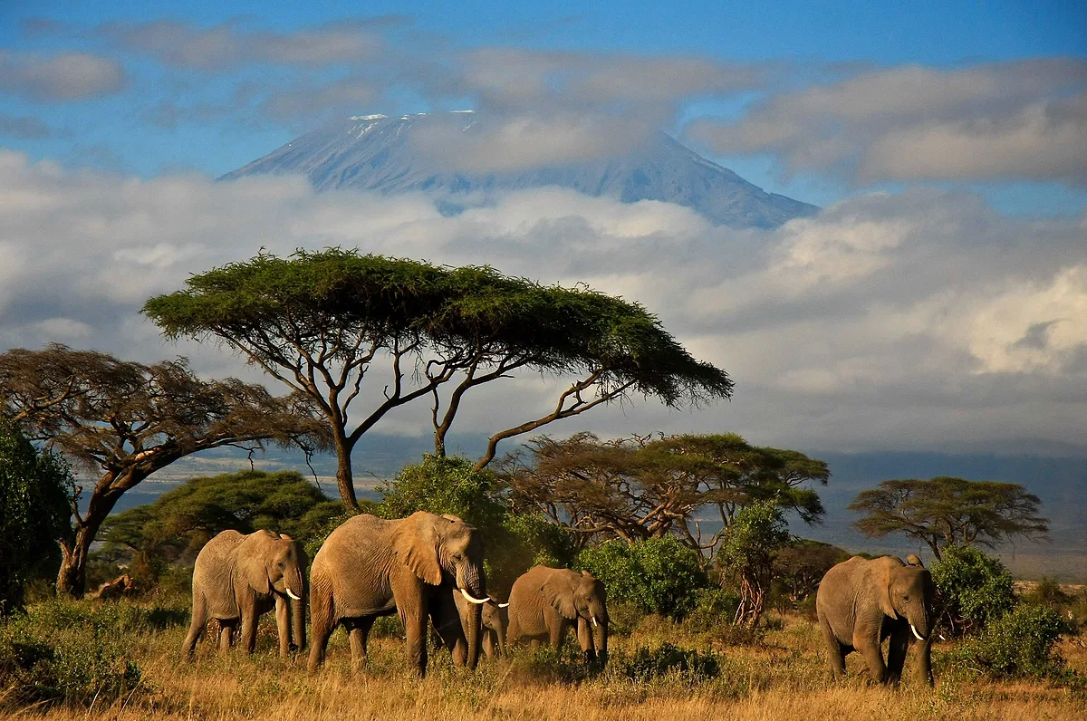 Photoshoot locations in Kenya