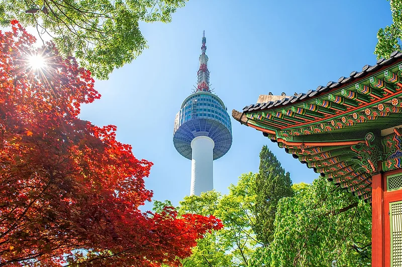 Namsan Tower, photo spot in Seoul