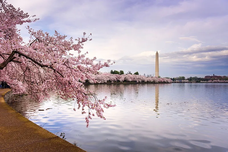 Tidal Basin