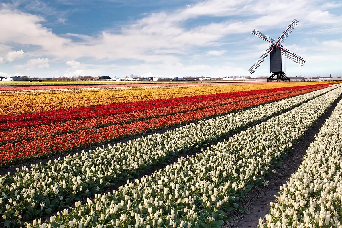 Photoshoot locations in Netherlands