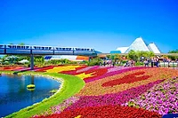 Photographers in Orlando