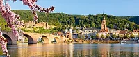 Photographers in Heidelberg