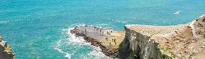 Muriwai