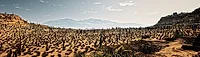 Photographers in Tucson