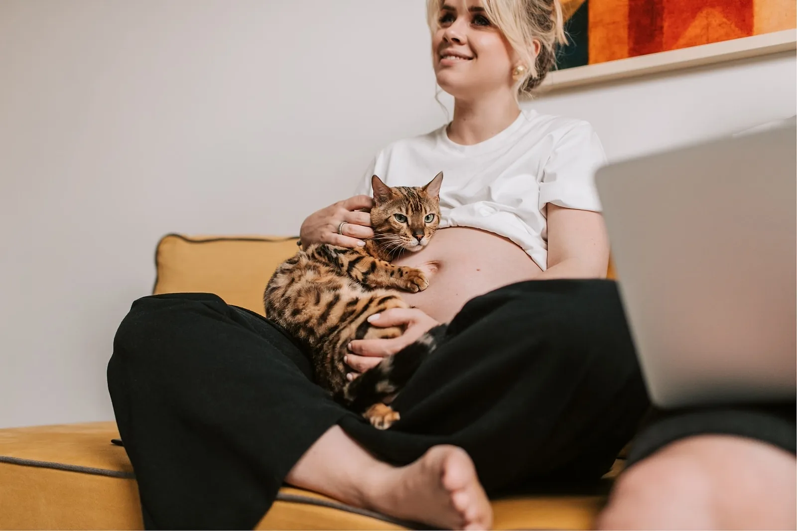Include Your Pet.
