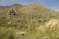 Photographers in Mesa