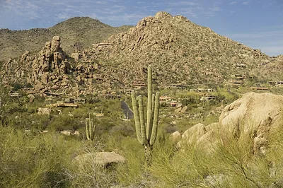 Mesa