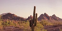 Photographers in Gilbert