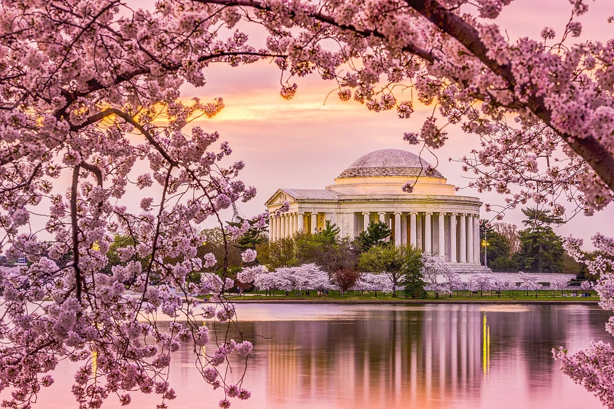 Jefferson Memorial, photo spot in Washington, D.C.