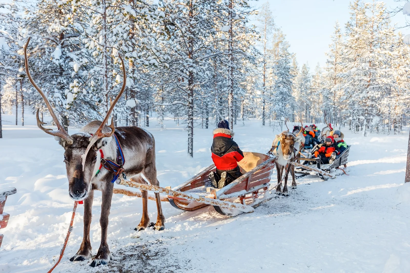 christmas photoshoot in lapland