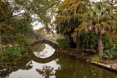 City Park — popular photoshoot spot in New Orleans