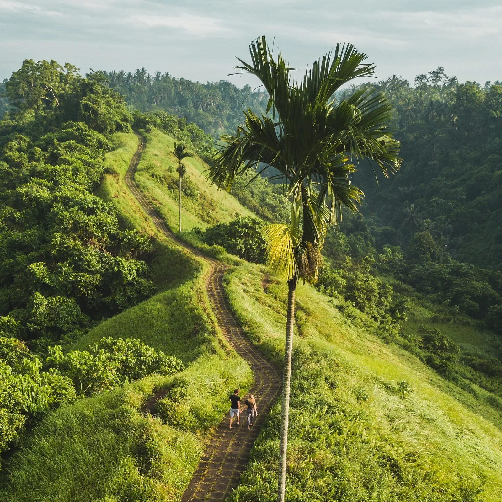 Photoshoot in Bali: photo spot #7: campuhan ridge.