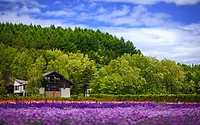 Photographers in Hokkaido