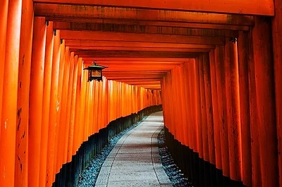 Fushimi Inari Shrine — popular photoshoot spot in Japan