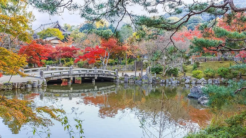 Maruyama Park, photo spot in Kyoto